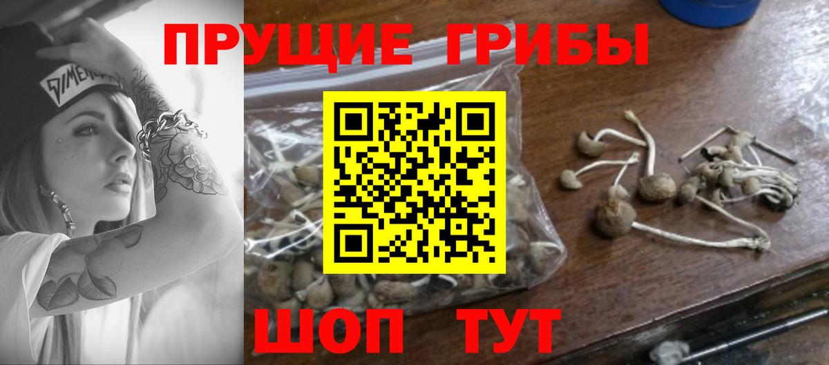 Мирный  Галлюциногенные грибы GOLDEN TEACHER  как найти наркотики  Вход с VPN 